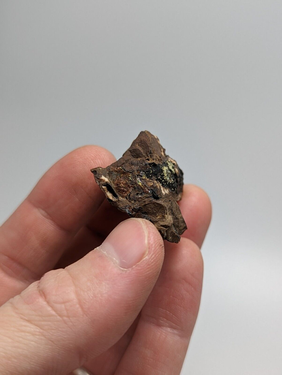 Rare Kidwellite On Black Rockbridgeite Eleonorite -York Mine Polk Co Arkansas - Collectibles:Rocks Fossils &