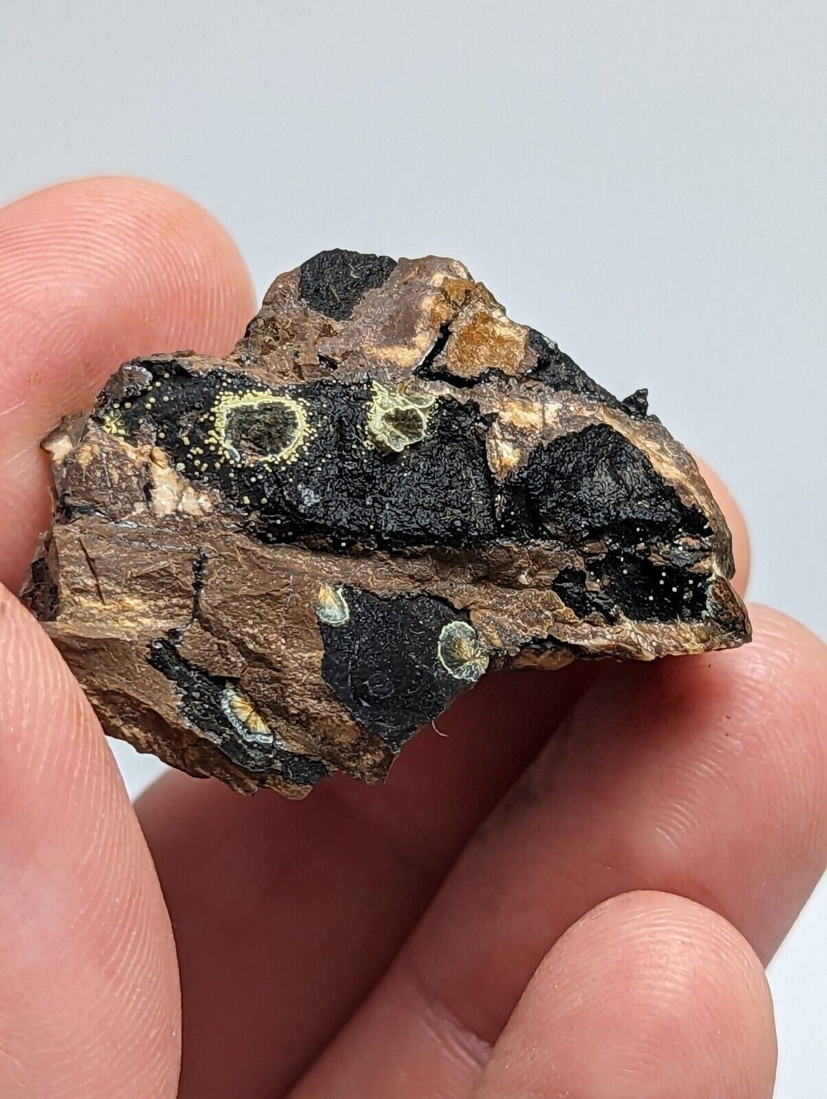 Rare Kidwellite On Black Rockbridgeite Eleonorite -York Mine Polk Co Arkansas - Collectibles:Rocks Fossils &