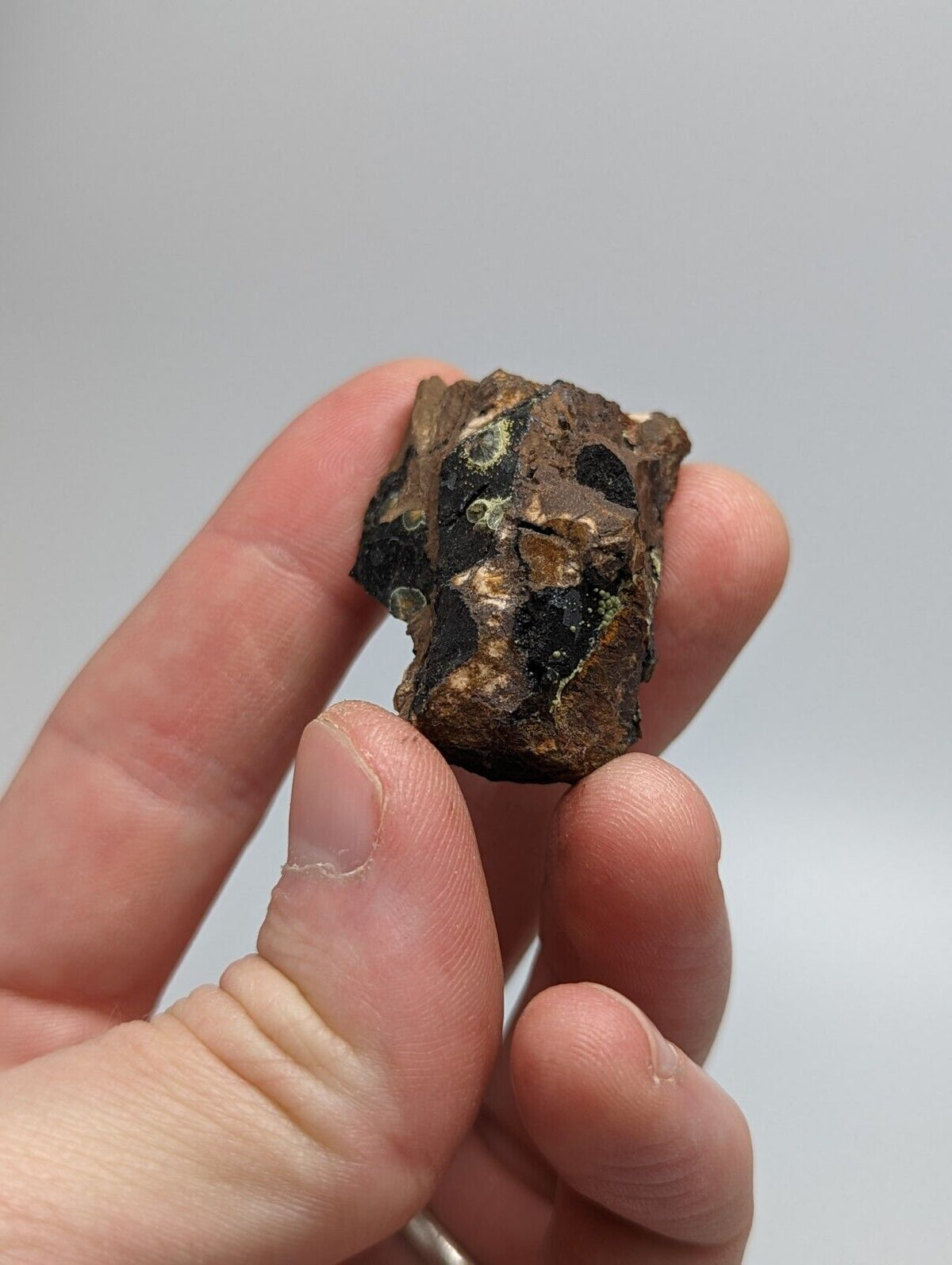 Rare Kidwellite On Black Rockbridgeite Eleonorite -York Mine Polk Co Arkansas - Collectibles:Rocks Fossils &