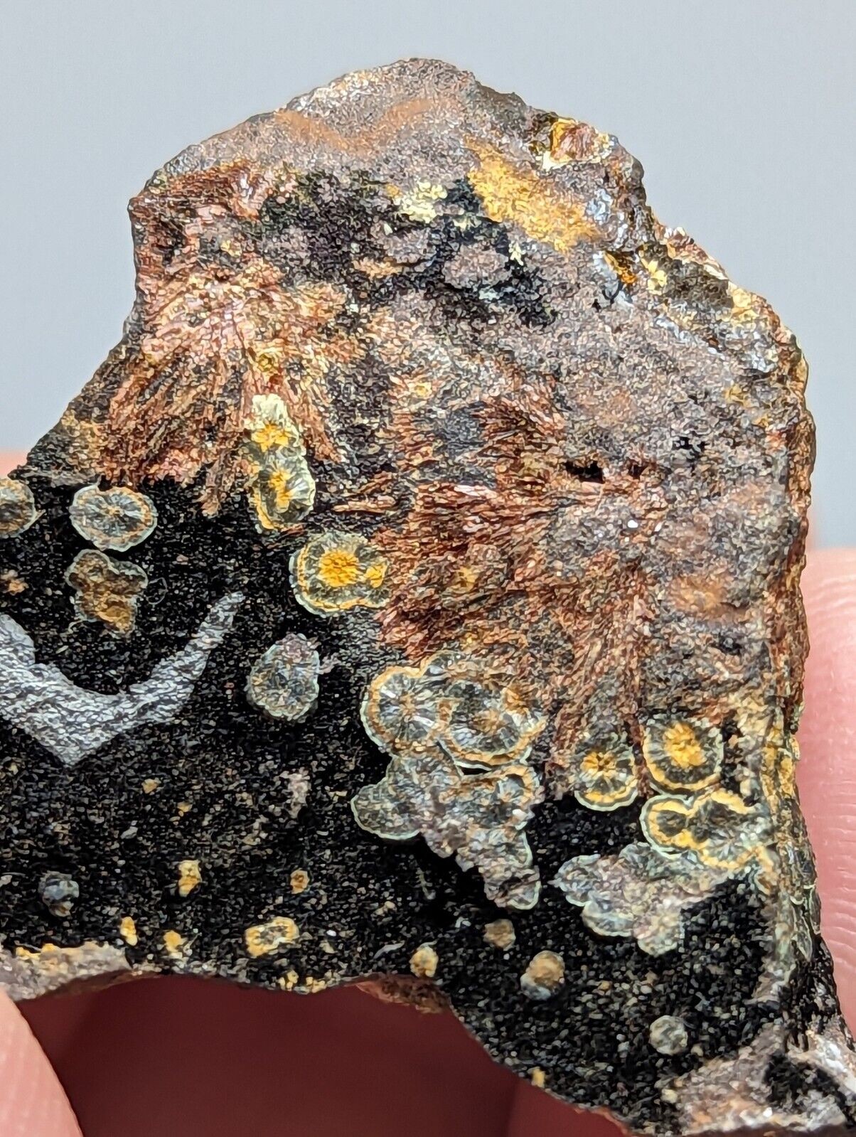 RARE KIDWELLITE ON BLACK ROCKBRIDGEITE ELEONORITE -YORK MINE POLK CO ARKANSAS - Collectibles:Rocks Fossils &