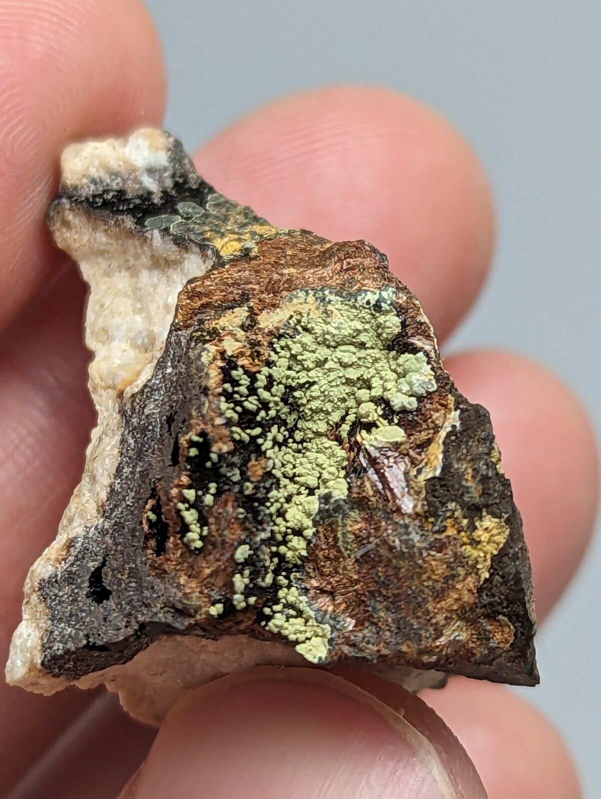 RARE KIDWELLITE ON BLACK ROCKBRIDGEITE ELEONORITE -YORK MINE POLK CO ARKANSAS - Collectibles:Rocks Fossils &