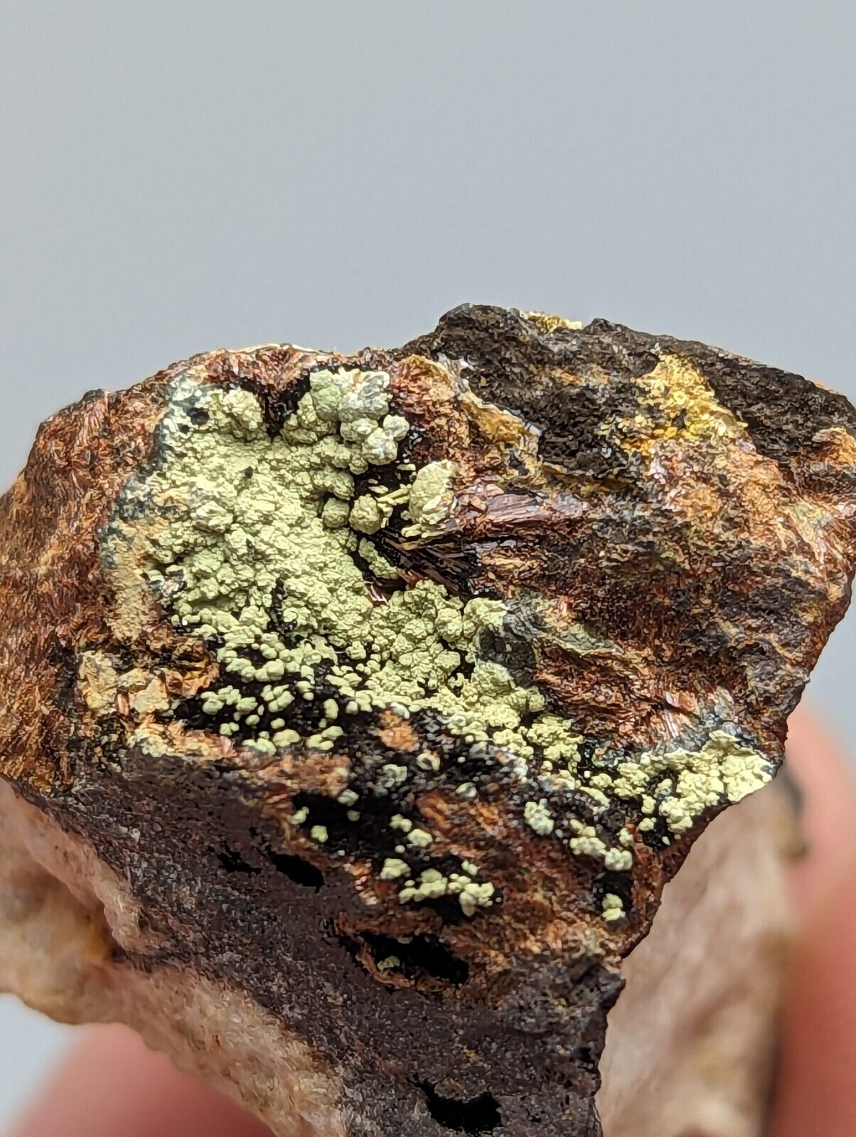 RARE KIDWELLITE ON BLACK ROCKBRIDGEITE ELEONORITE -YORK MINE POLK CO ARKANSAS - Collectibles:Rocks Fossils &