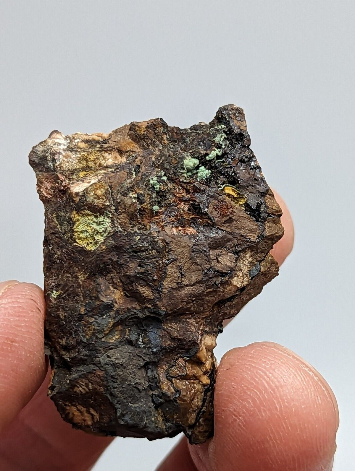 Rare Kidwellite On Black Rockbridgeite Eleonorite -York Mine Polk Co Arkansas - Collectibles:Rocks Fossils &