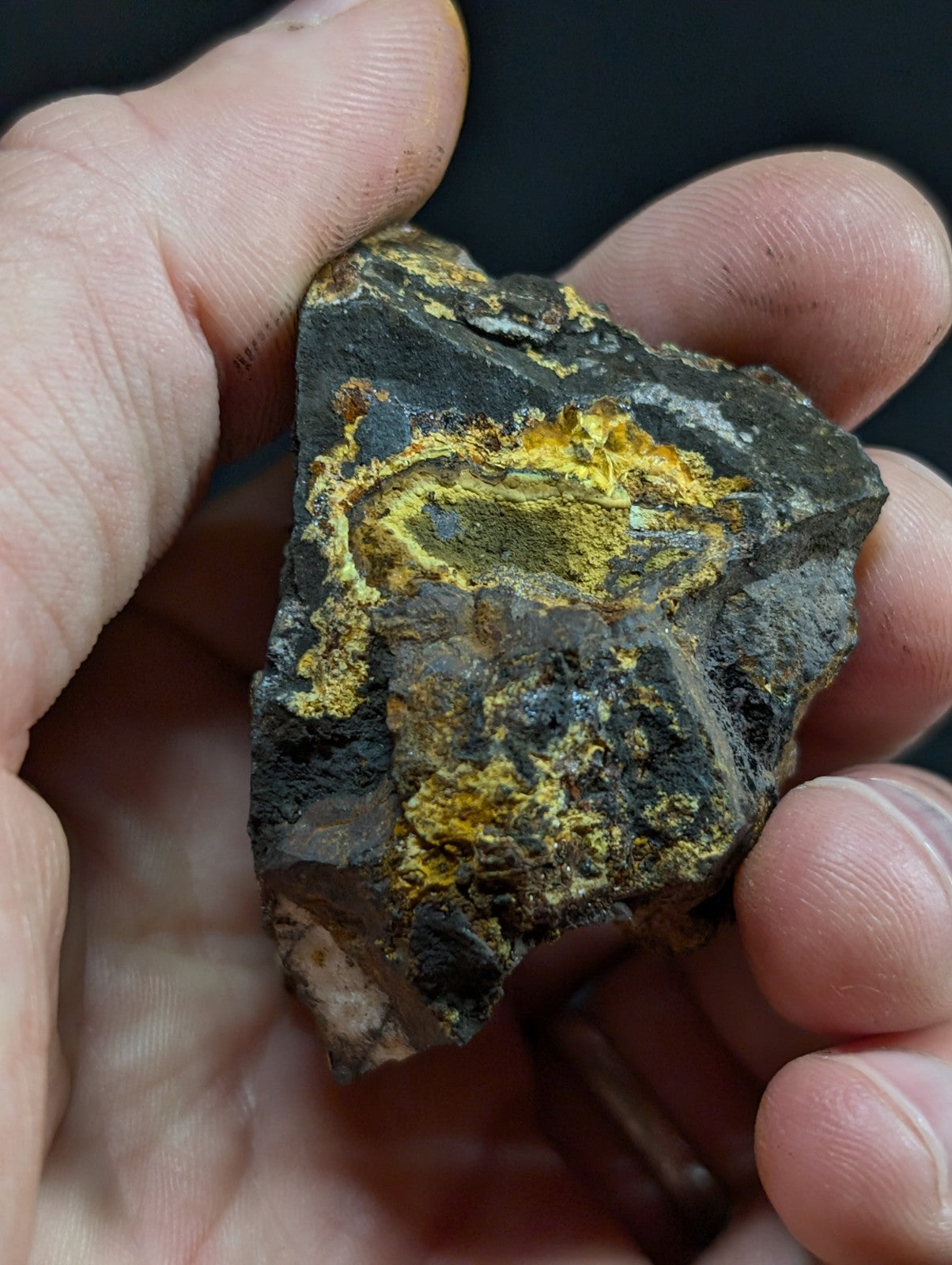A rugged, dark gray rock with vibrant yellow mineral veins forming a swirling pattern.