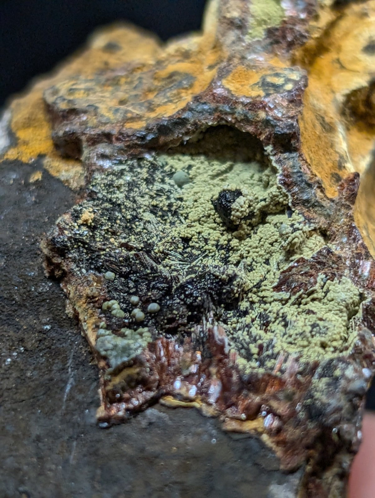 A rugged, textured rock specimen featuring patches of vibrant yellow lichen and a central area covered in fine greenish-gray moss-like growths.