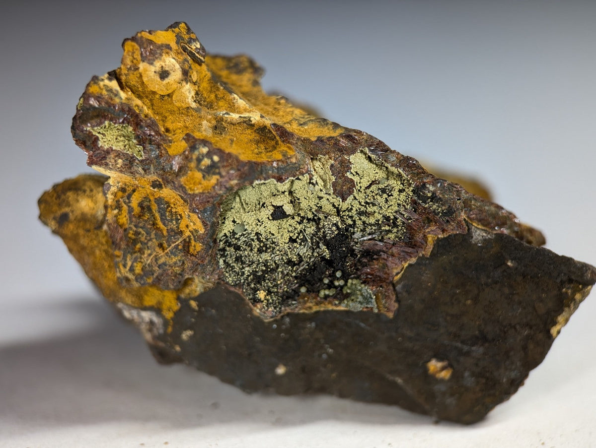 A rugged, irregularly shaped rock with a dark brown base and patches of vibrant yellow and greenish lichen.