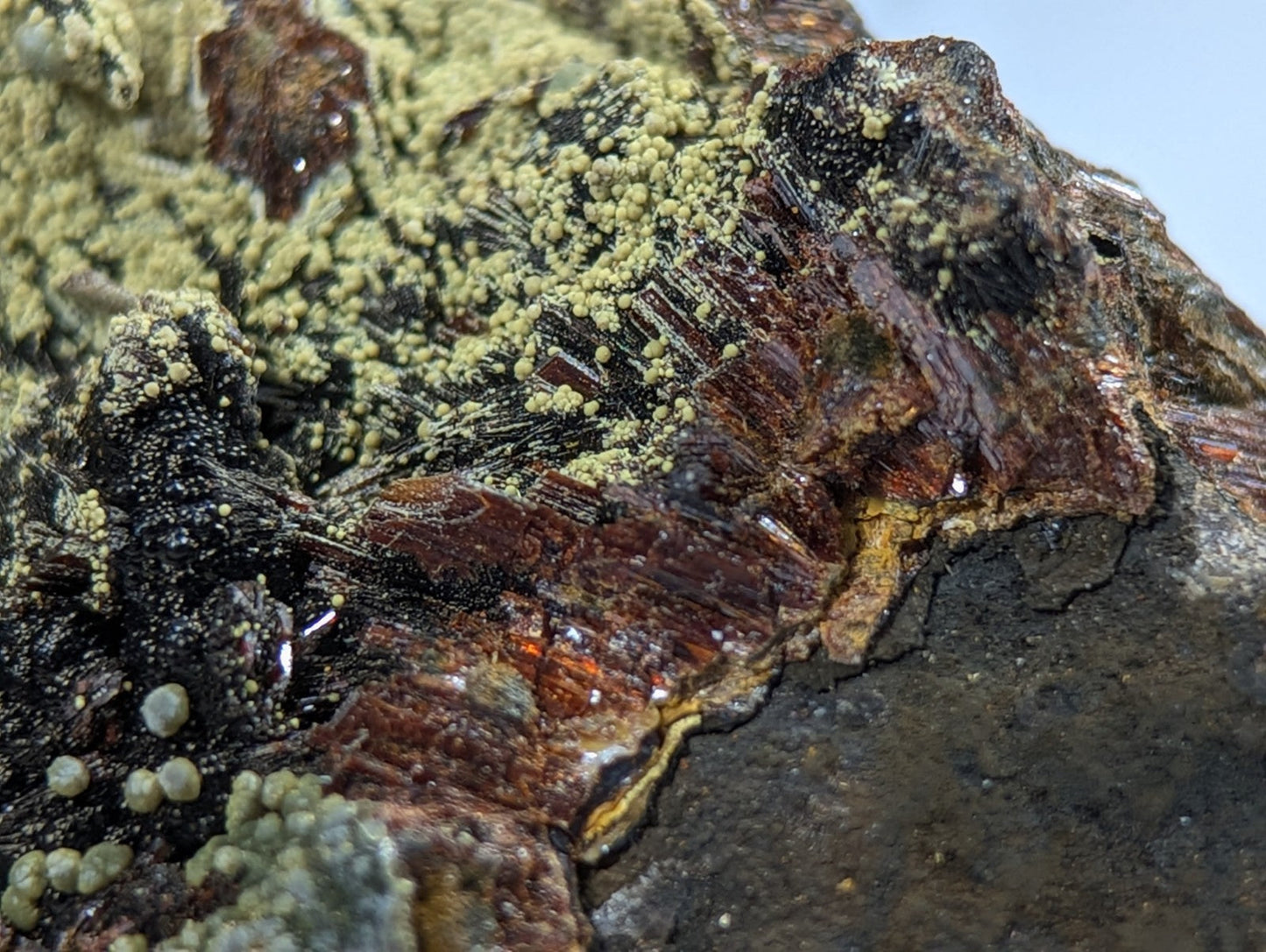 A rugged mineral specimen featuring reddish-brown crystalline formations overlaid with patches of pale green lichen.