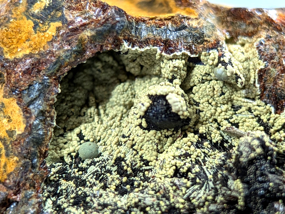 A textured mineral specimen featuring a rough, rust-colored outer surface with patches of vibrant yellow lichen and clusters of pale green, bead-like formations inside its hollowed cavity.