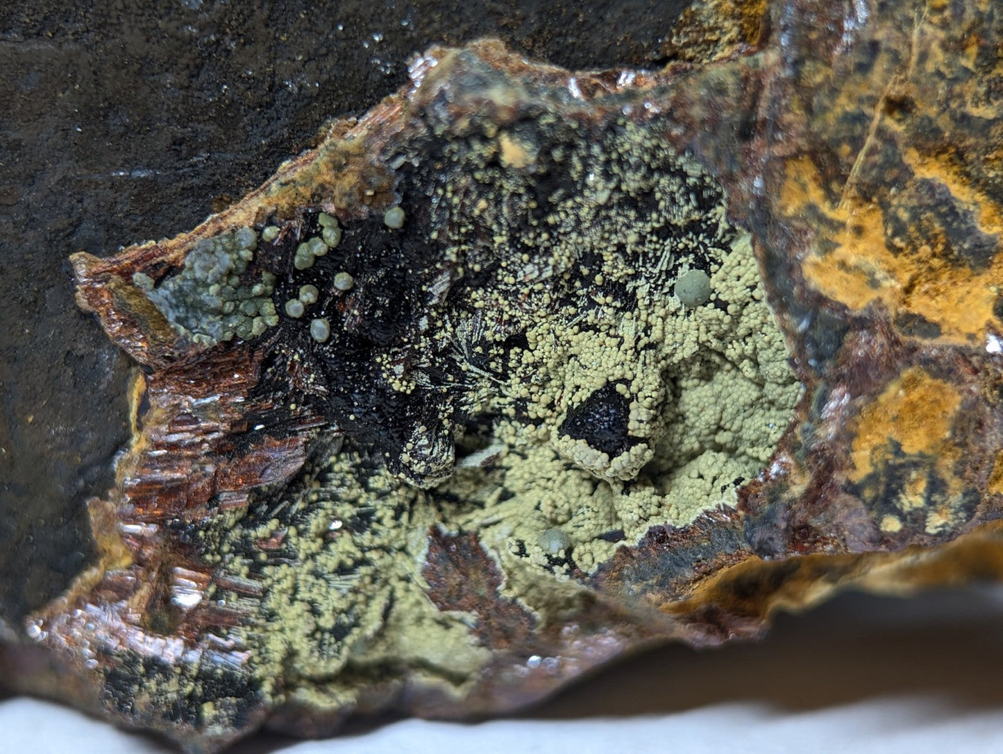 A close-up view of a mineral specimen featuring patches of greenish lichen and small, rounded nodules on its rough, dark surface.