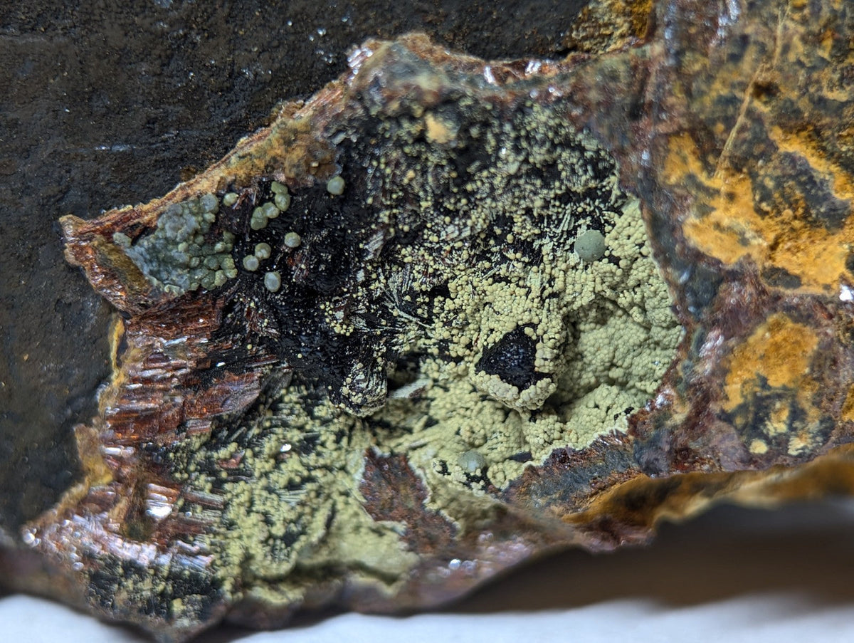 A close-up view of a mineral specimen featuring patches of greenish lichen and small, rounded nodules on its rough, dark surface.