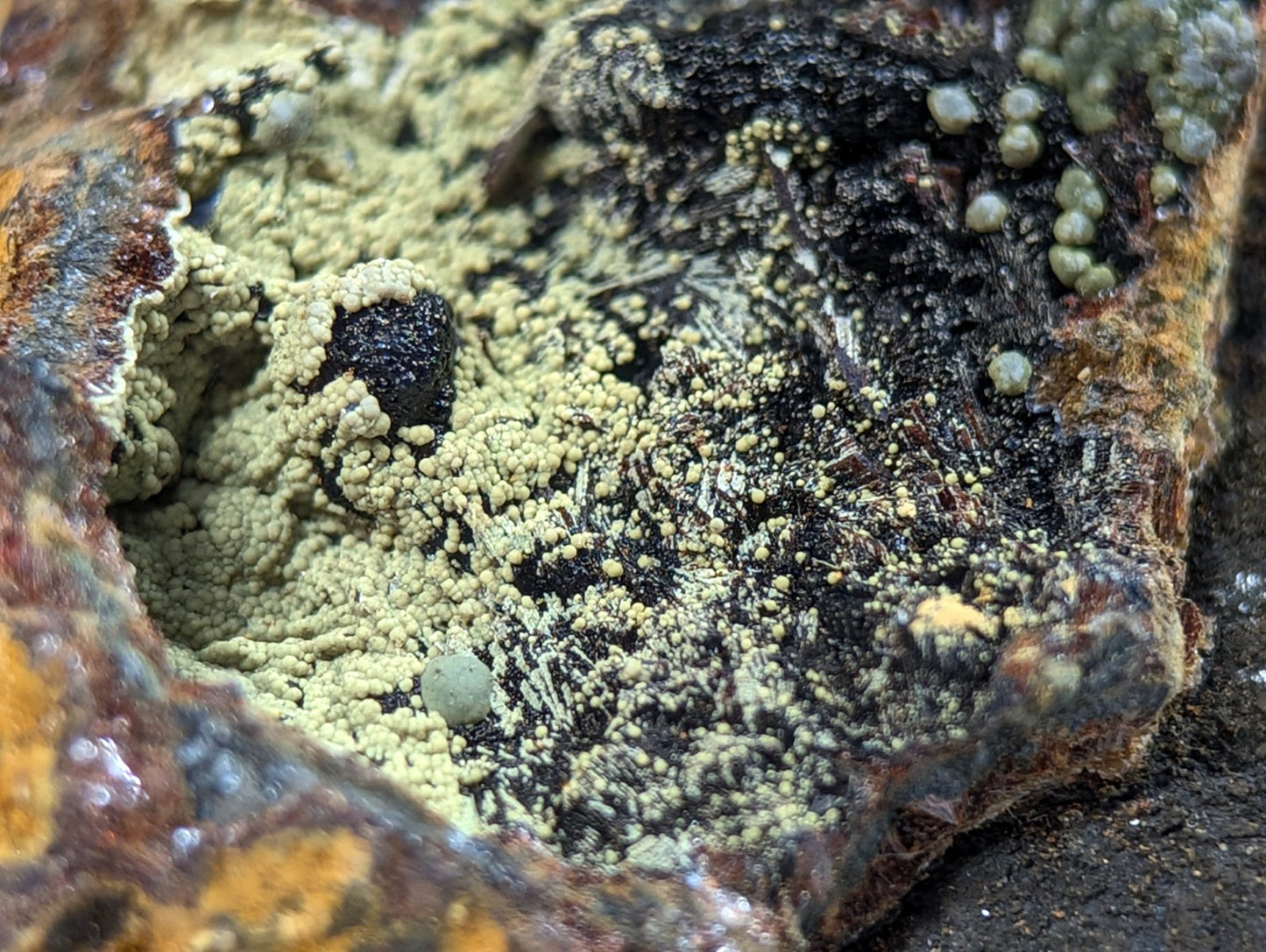 A textured, mossy patch with a mix of pale green and dark black lichen growing on a rough, earth-toned rock surface.