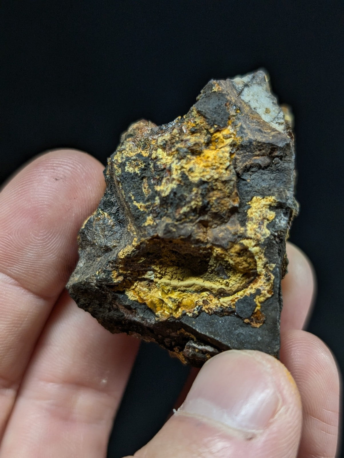 A rugged, dark gray rock specimen with vibrant yellow mineral veins and patches of rust-colored oxidation.