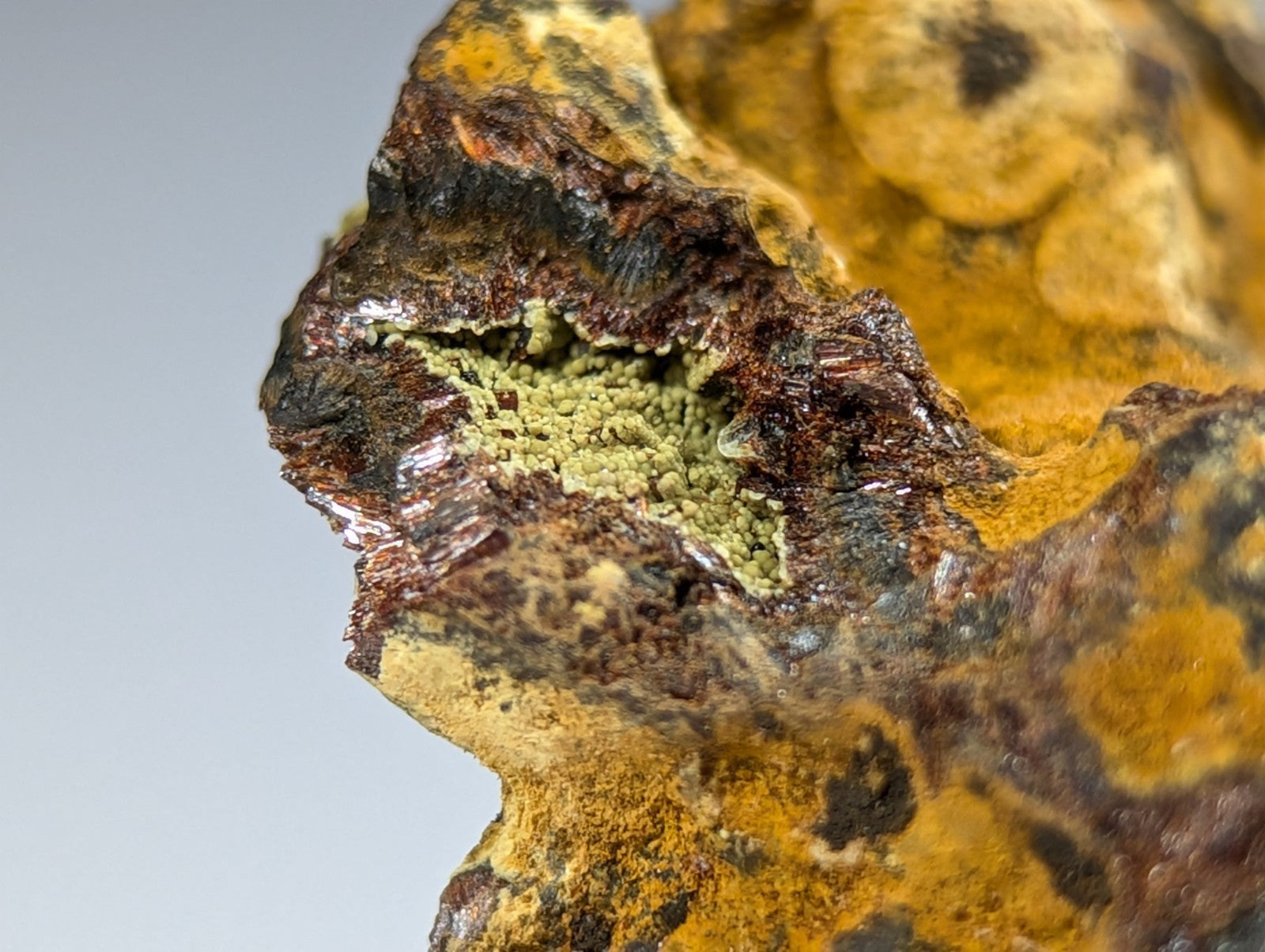 A rugged, naturally occurring mineral specimen featuring a striking contrast of deep brown and vibrant yellow-orange hues with patches of greenish crystalline growth.