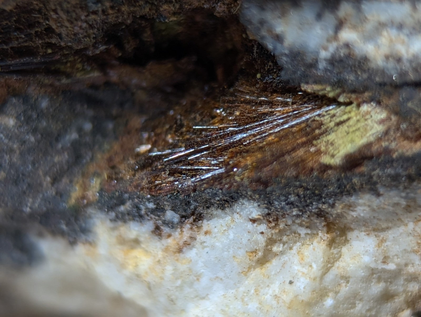 A cluster of shiny, metallic needle-like crystals embedded in a dark, textured rock surface.