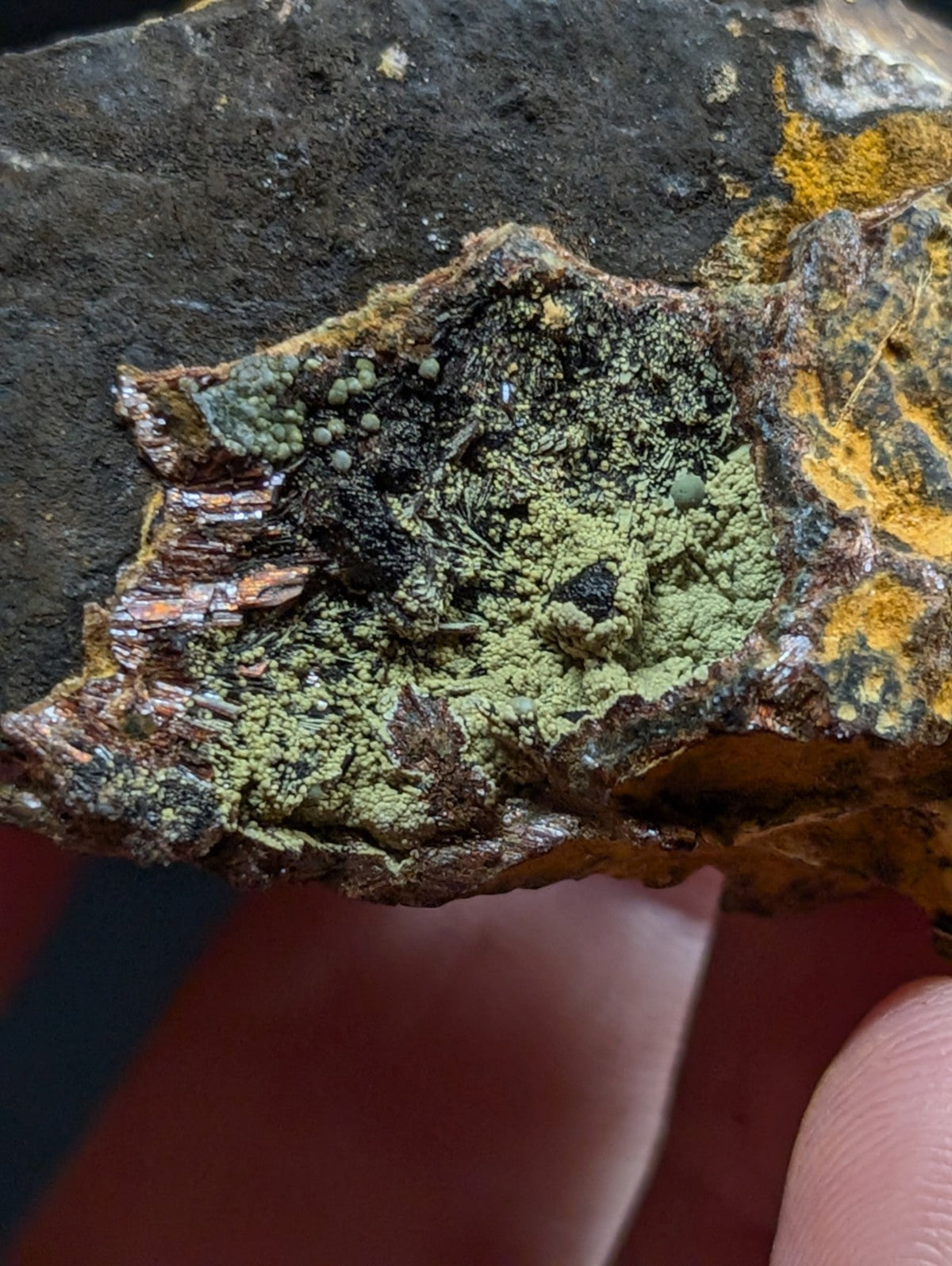 A rugged, dark rock specimen featuring patches of vibrant green lichen and areas of bright yellow mineral growth.