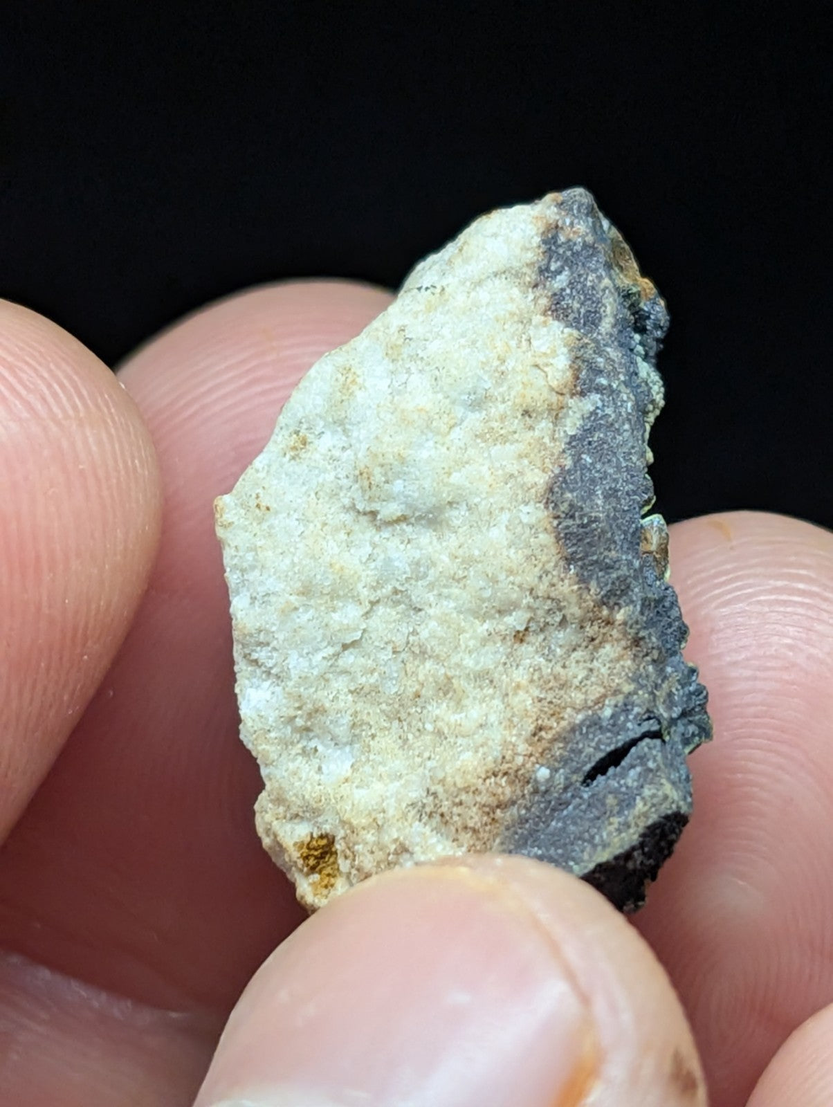 A rough, irregularly shaped mineral specimen with a pale cream-colored surface and dark gray to black patches along its edges.