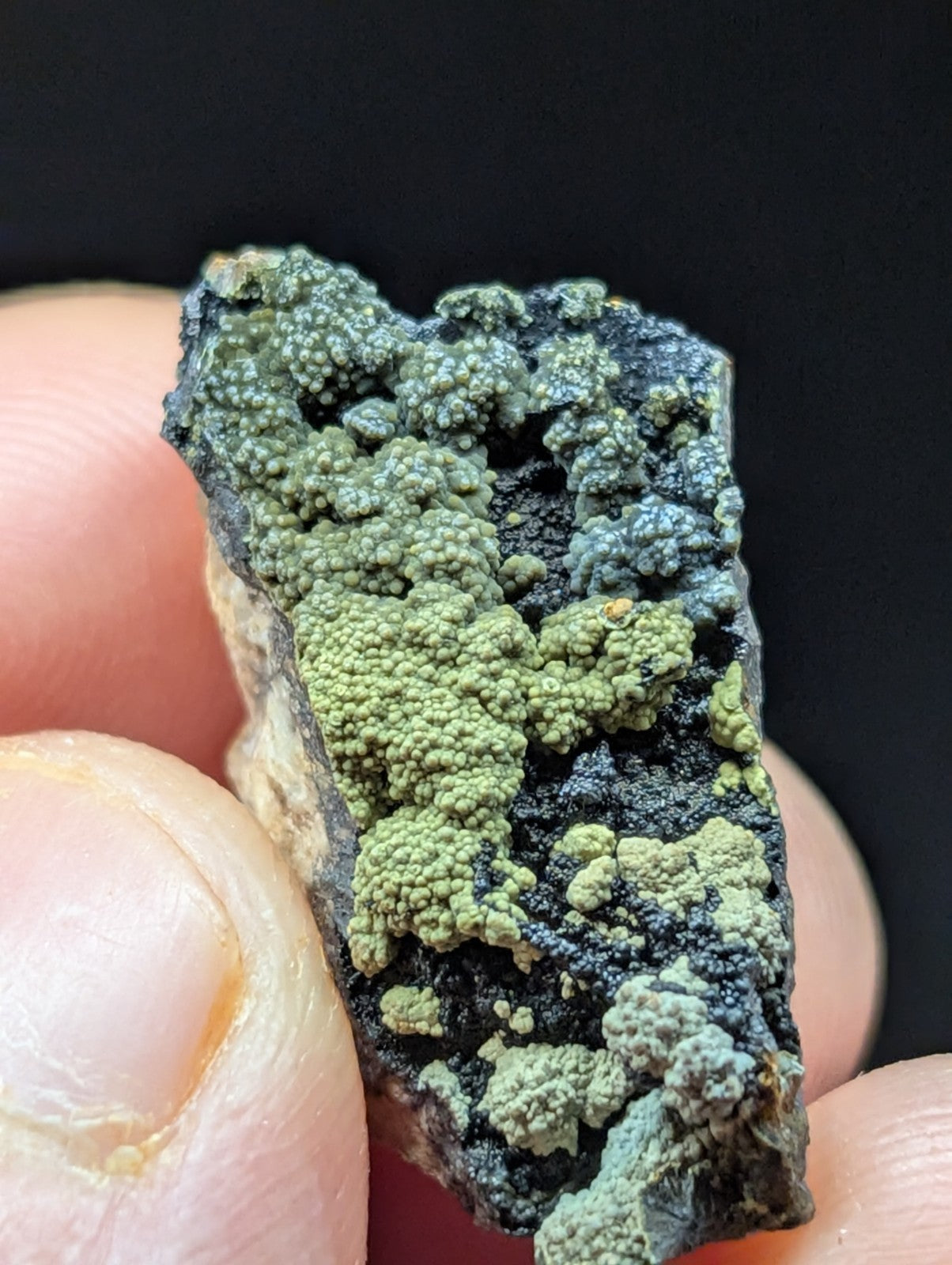 A textured, irregularly shaped mineral specimen featuring vibrant green and dark gray patches with a bumpy, clustered surface.