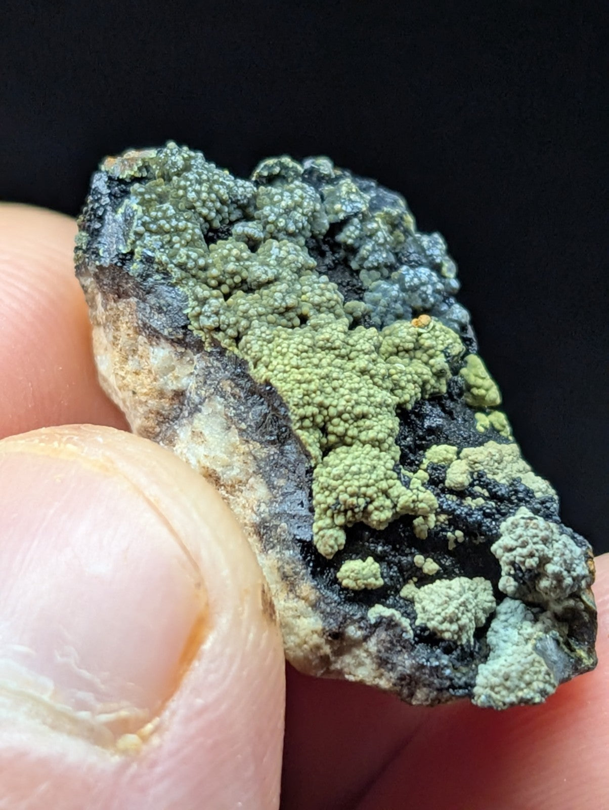 A textured mineral specimen featuring vibrant green, bumpy growths over a dark, rough base.