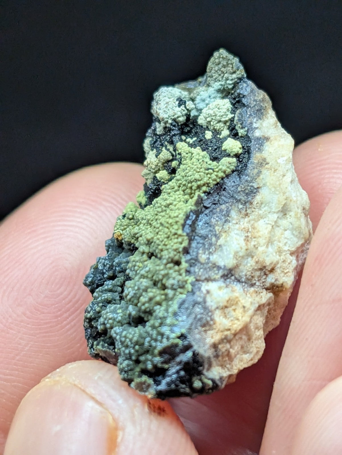 A textured, irregularly shaped mineral specimen featuring vibrant green lichen-like growths over a base of dark gray and pale beige rock.