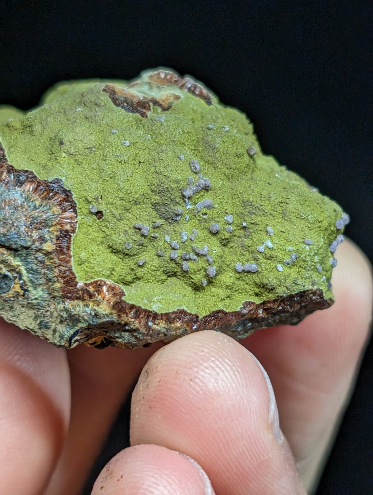A rough, irregularly shaped mineral specimen with a vibrant green surface speckled with small purple crystals and bordered by rust-colored iron oxide.
