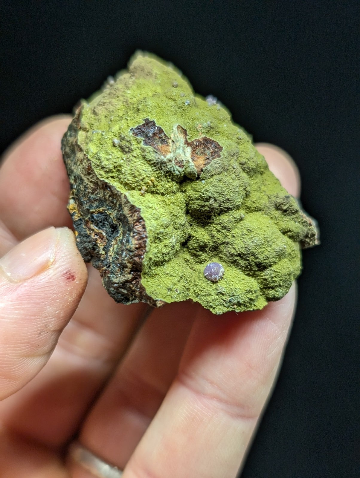 A moss-covered rock specimen with a rough, irregular surface and patches of dark brown and black mineralization.