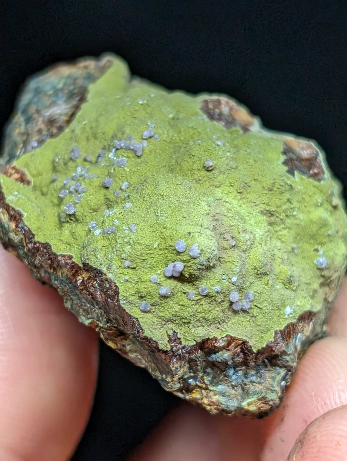 A hand holds a rough, irregularly shaped mineral specimen with a vibrant green surface speckled with small purple crystalline formations and brownish edges.