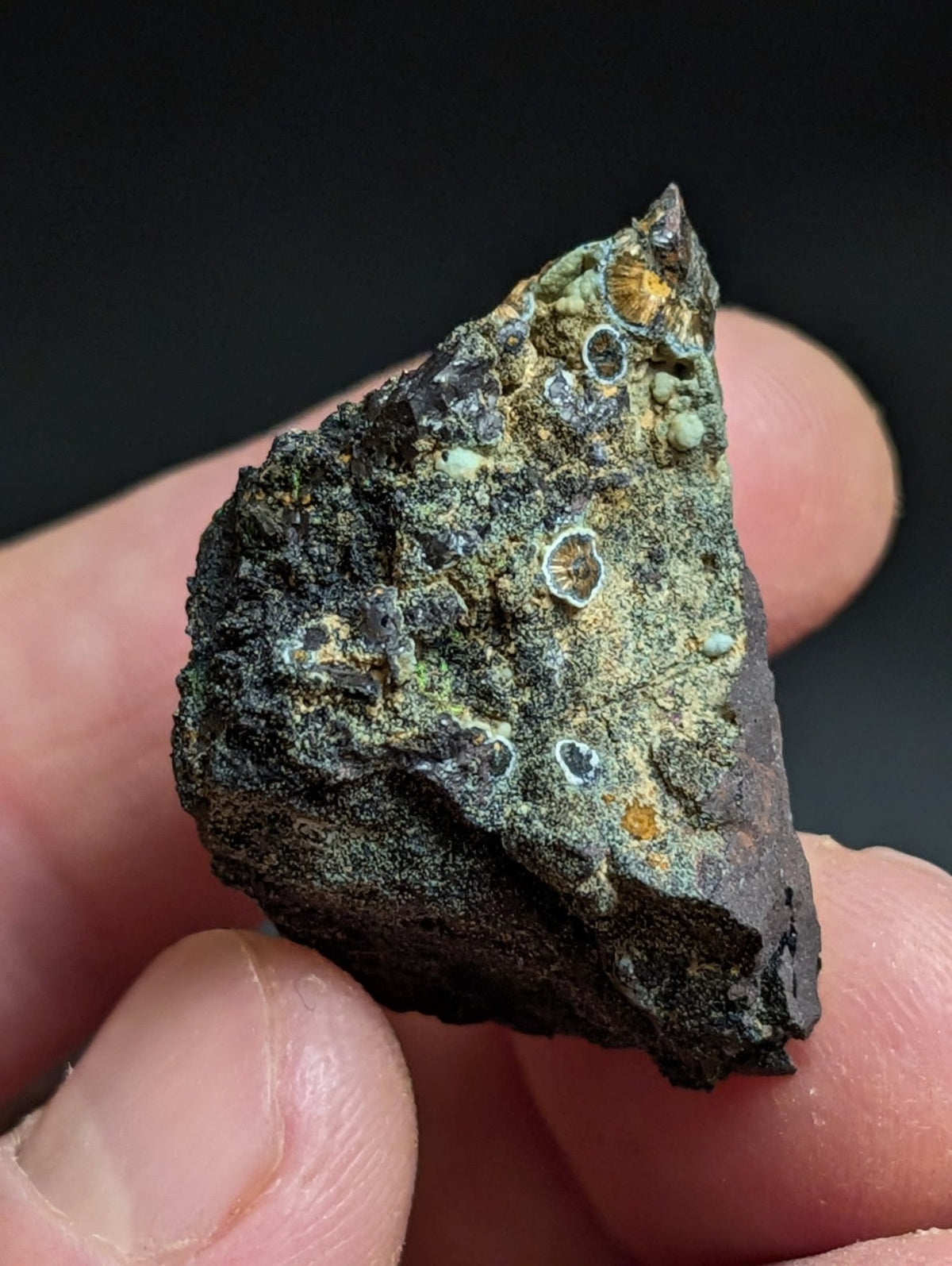 Rare Kidwellite w/ other Iron Phosphates -Coon Creek Mine Polk County Arkansas - Collectibles:Rocks Fossils &