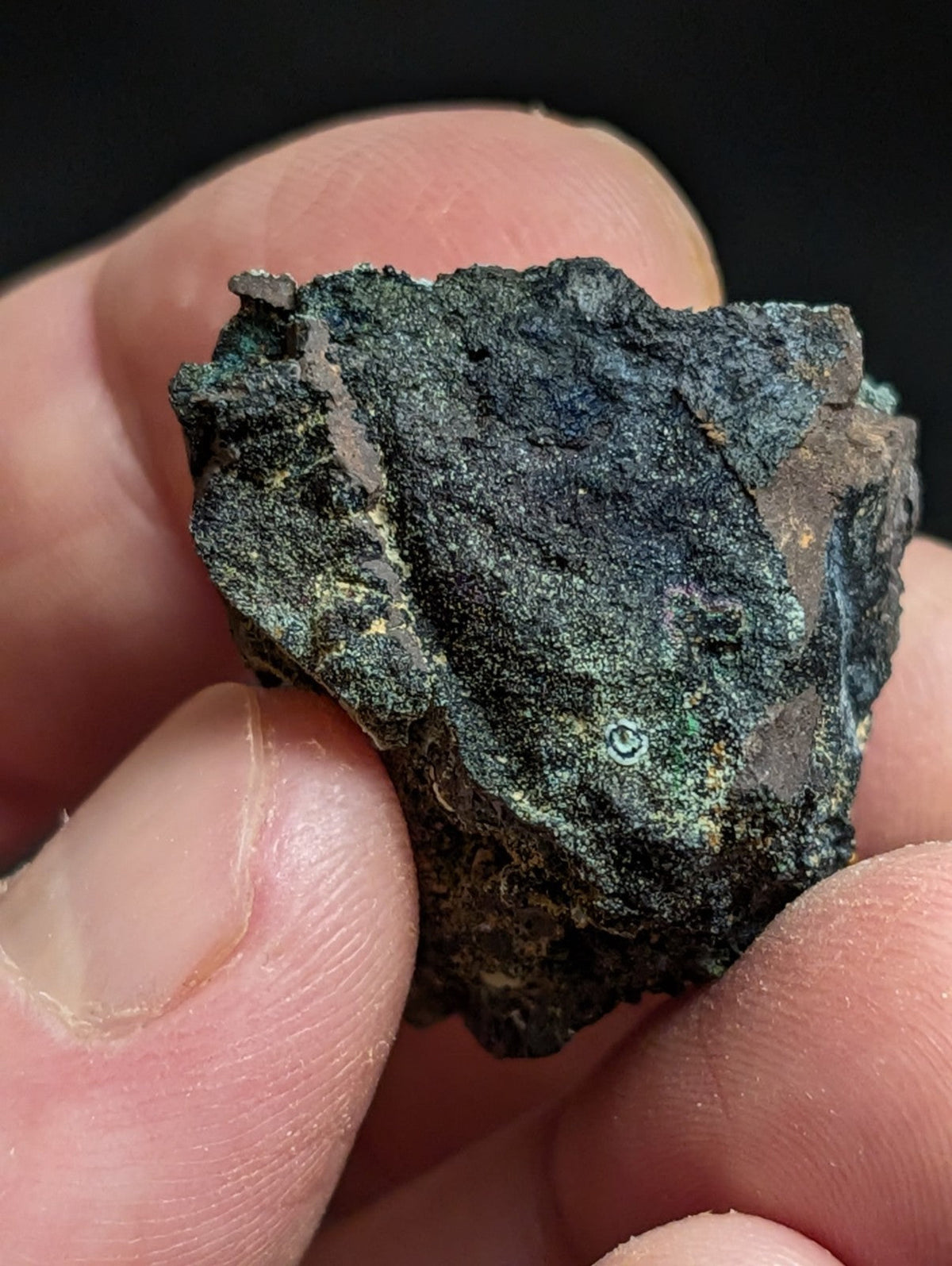 Rare Kidwellite w/ other Iron Phosphates -Coon Creek Mine Polk County Arkansas - Collectibles:Rocks Fossils &