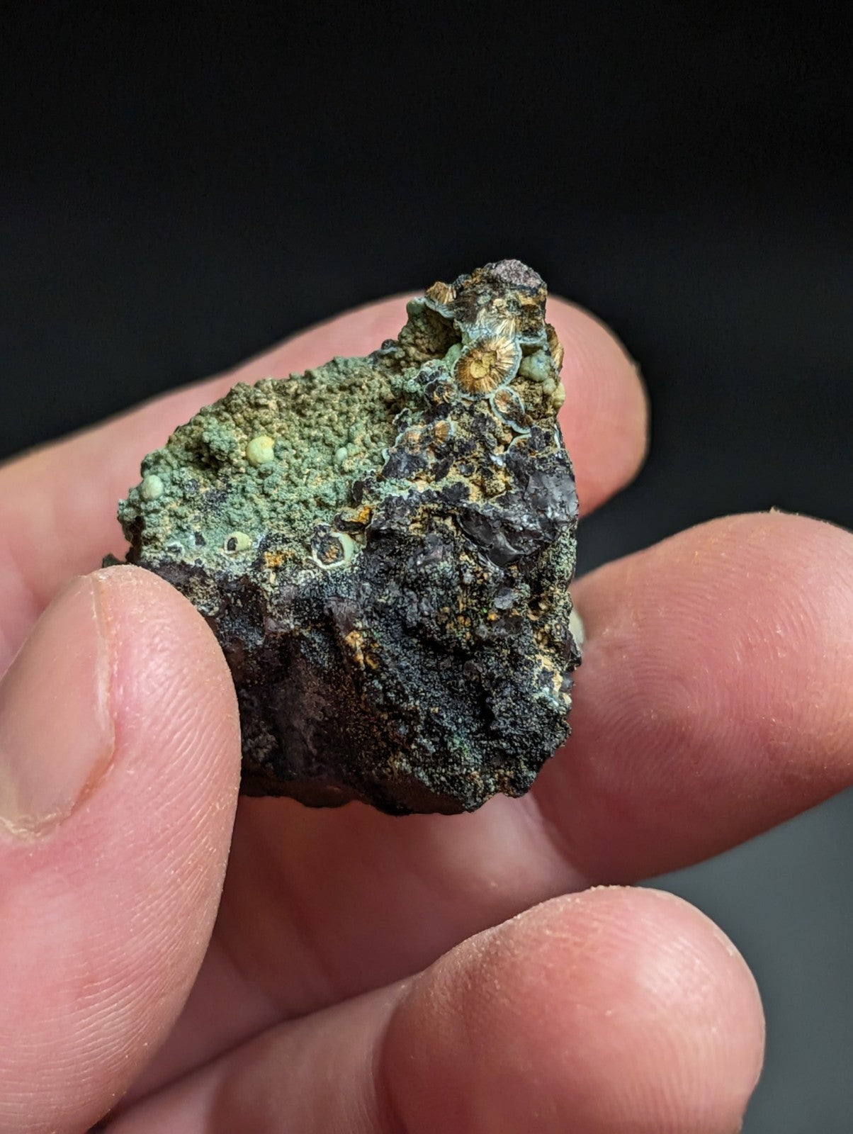 Rare Kidwellite w/ other Iron Phosphates -Coon Creek Mine Polk County Arkansas - Collectibles:Rocks Fossils &