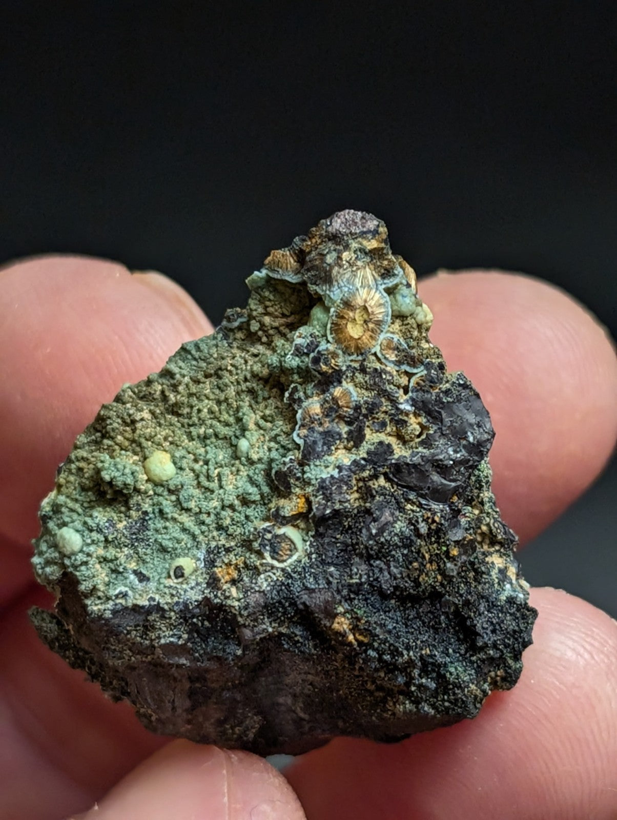 Rare Kidwellite w/ other Iron Phosphates -Coon Creek Mine Polk County Arkansas - Collectibles:Rocks Fossils &