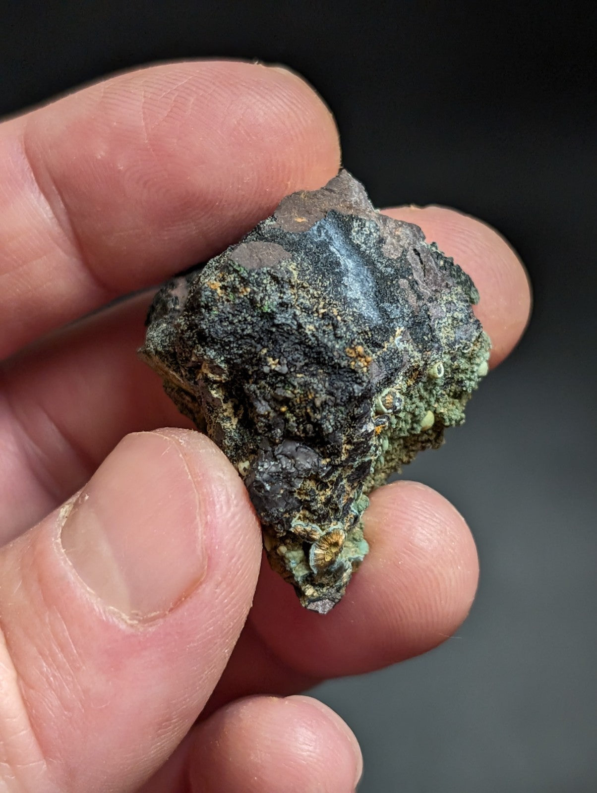 Rare Kidwellite w/ other Iron Phosphates -Coon Creek Mine Polk County Arkansas - Collectibles:Rocks Fossils &