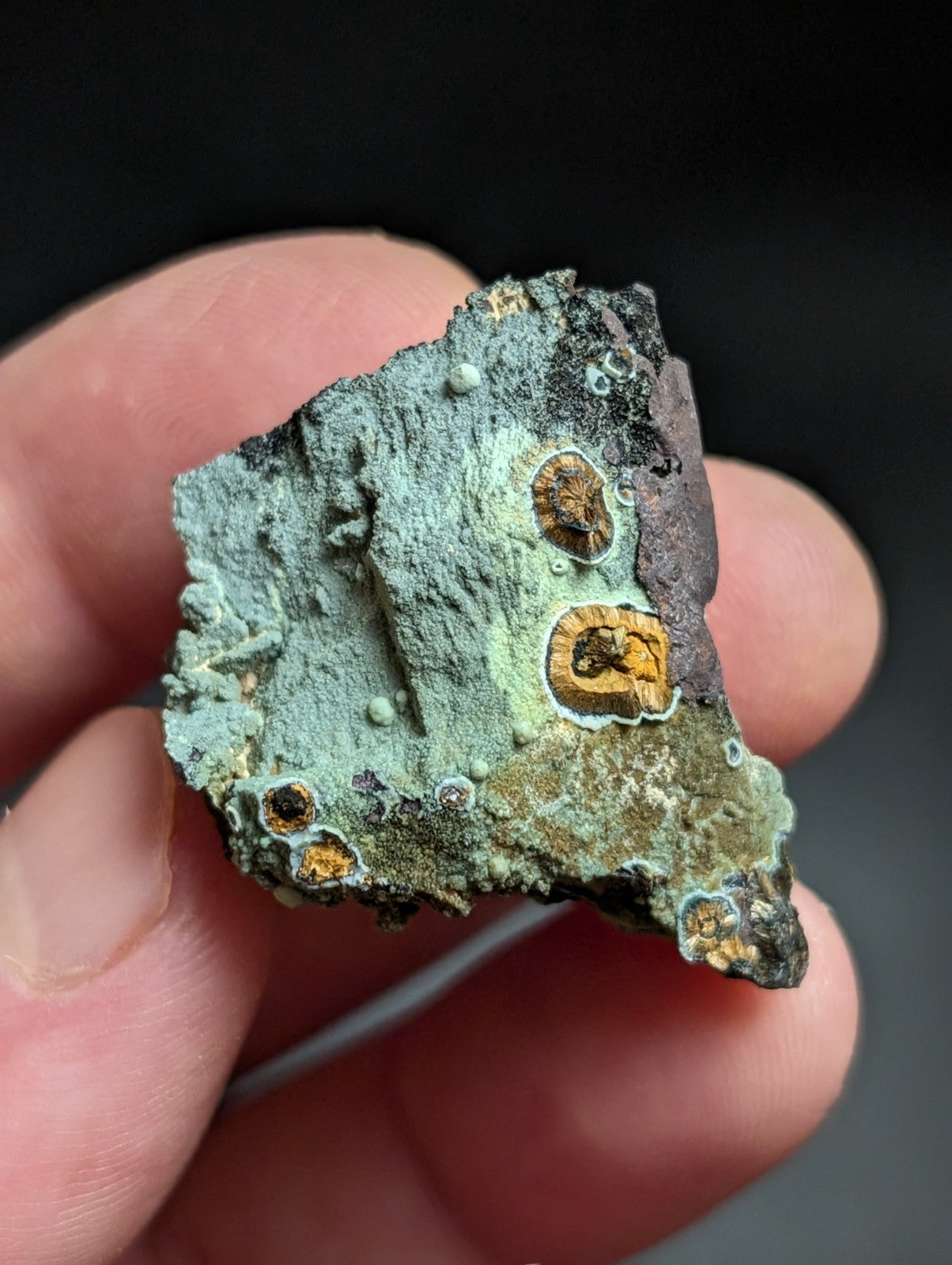 Rare Kidwellite w/ other Iron Phosphates -Coon Creek Mine Polk County Arkansas - Collectibles:Rocks Fossils &