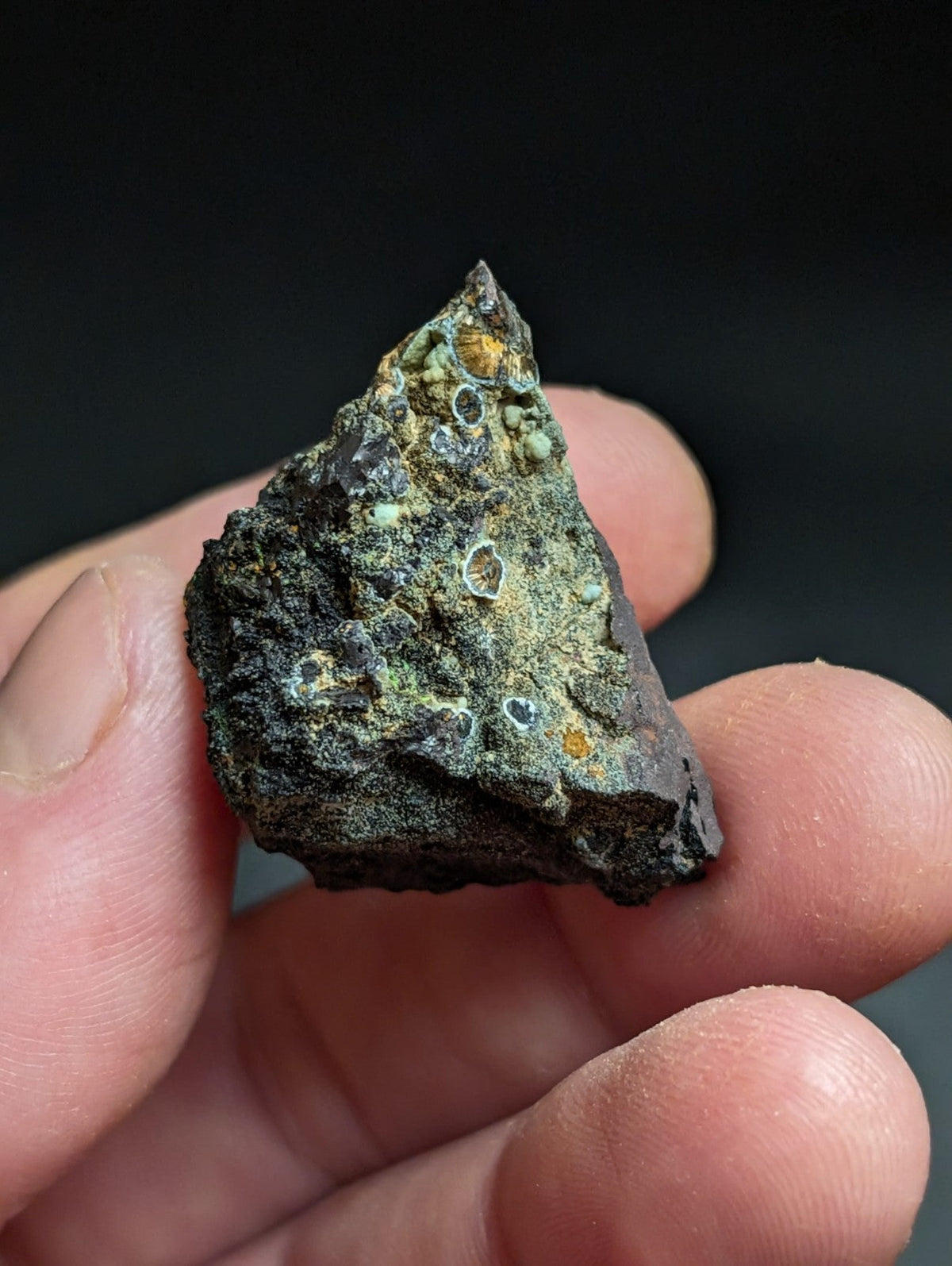 Rare Kidwellite w/ other Iron Phosphates -Coon Creek Mine Polk County Arkansas - Collectibles:Rocks Fossils &