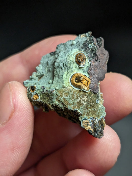Rare Kidwellite w/ other Iron Phosphates -Coon Creek Mine Polk County Arkansas - Collectibles:Rocks Fossils &