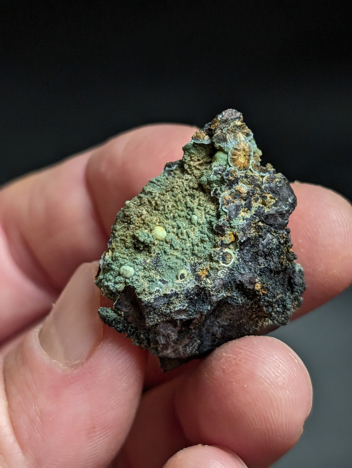Rare Kidwellite w/ other Iron Phosphates -Coon Creek Mine Polk County Arkansas - Collectibles:Rocks Fossils &
