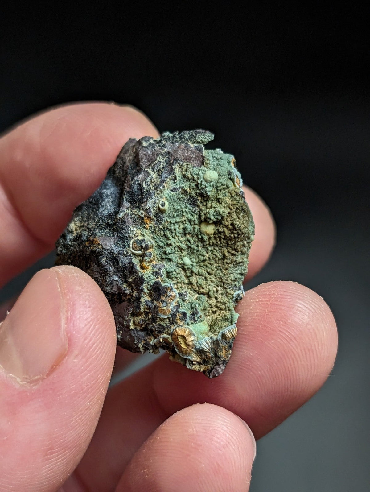 Rare Kidwellite w/ other Iron Phosphates -Coon Creek Mine Polk County Arkansas - Collectibles:Rocks Fossils &