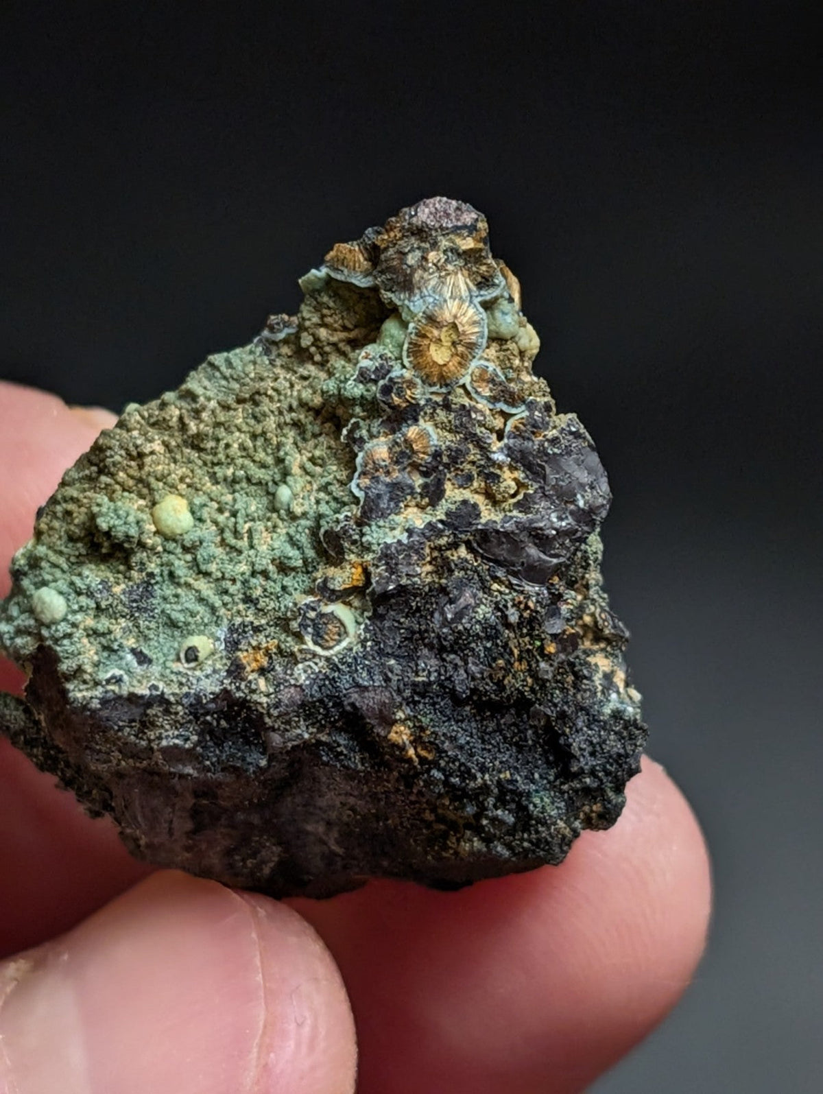 Rare Kidwellite w/ other Iron Phosphates -Coon Creek Mine Polk County Arkansas - Collectibles:Rocks Fossils &