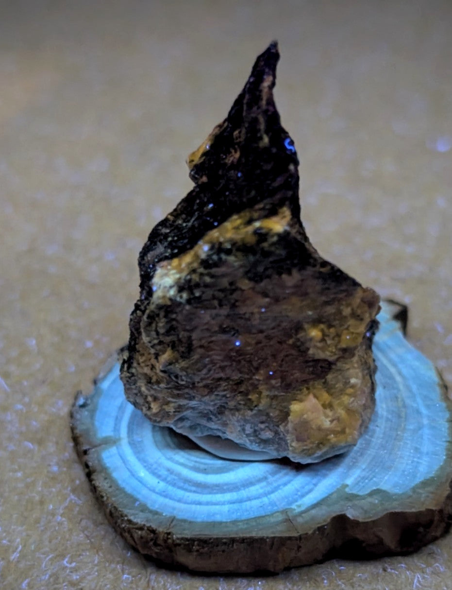 A rugged, dark brown and black mineral specimen with golden-yellow streaks rests atop a circular wooden slice.
