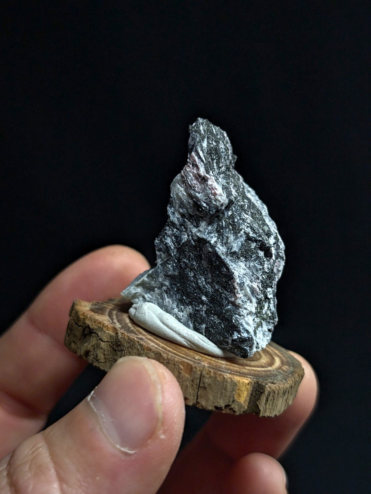 A dark, textured mineral specimen with white veining rests on a rustic wooden slice.