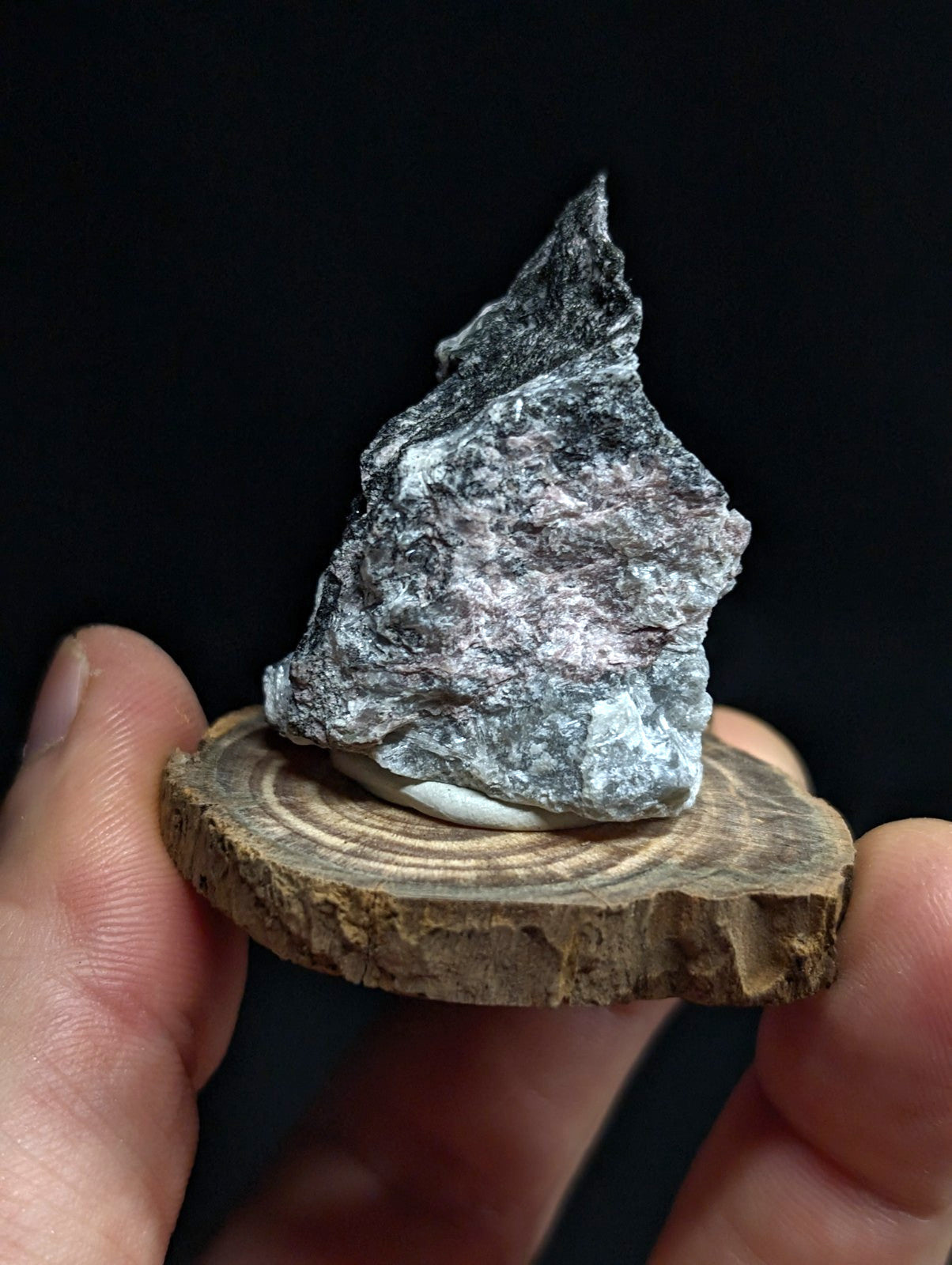A rugged, irregularly shaped gray rock with a rough texture and subtle white veining rests on a circular wooden slice.