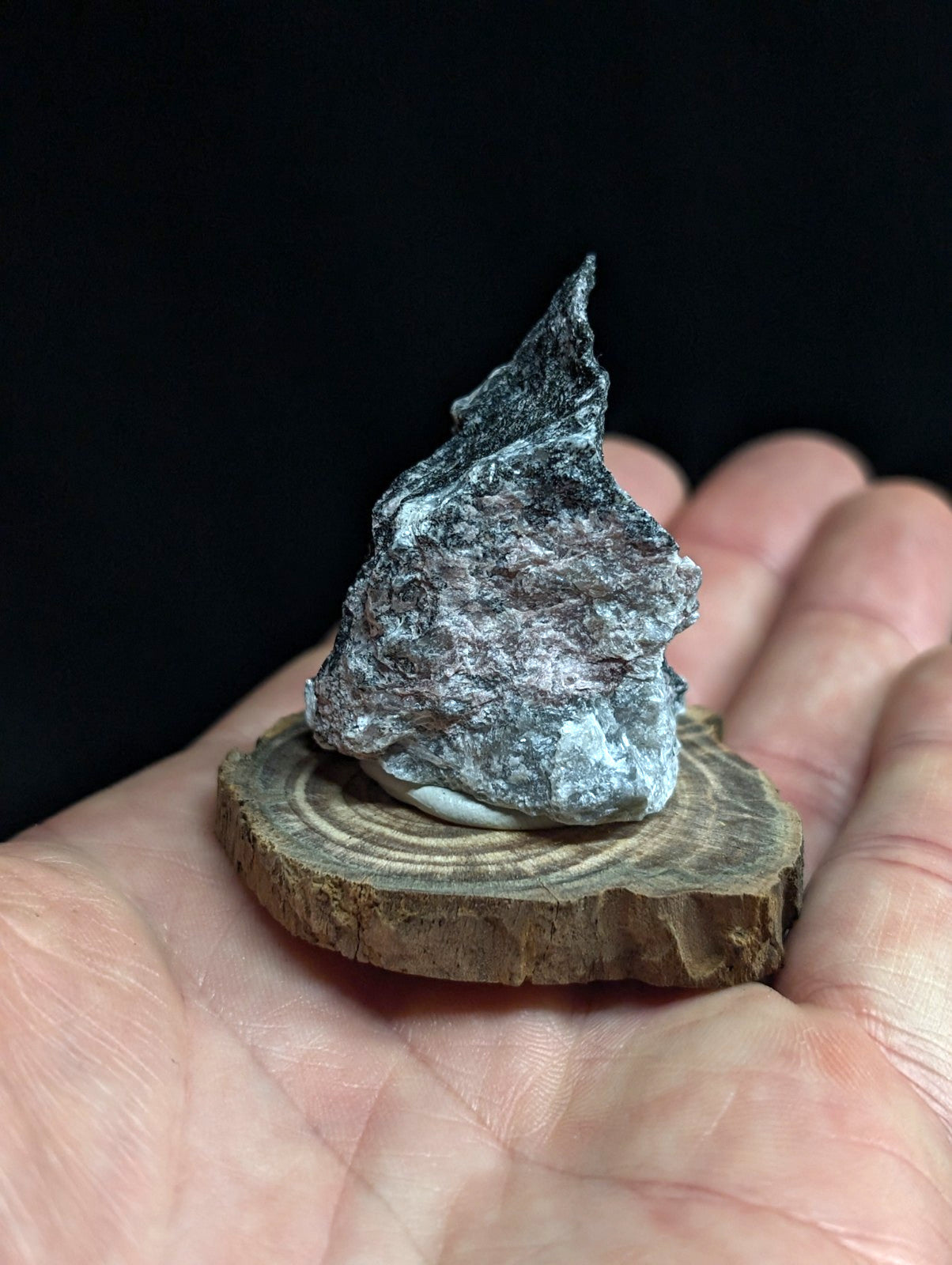 A rugged, irregularly shaped gray rock with a rough texture and subtle white veining rests on a circular wooden slice.