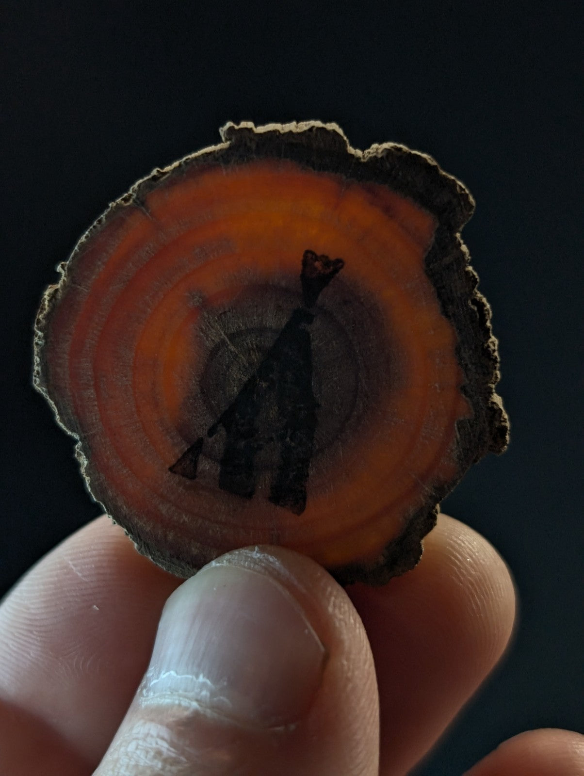 A circular slice of wood with vibrant orange and brown concentric rings, featuring a dark silhouette of a figure holding an instrument.