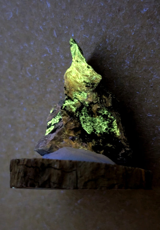 A striking, irregularly shaped mineral specimen with a vibrant green luminescent coating over dark rock.