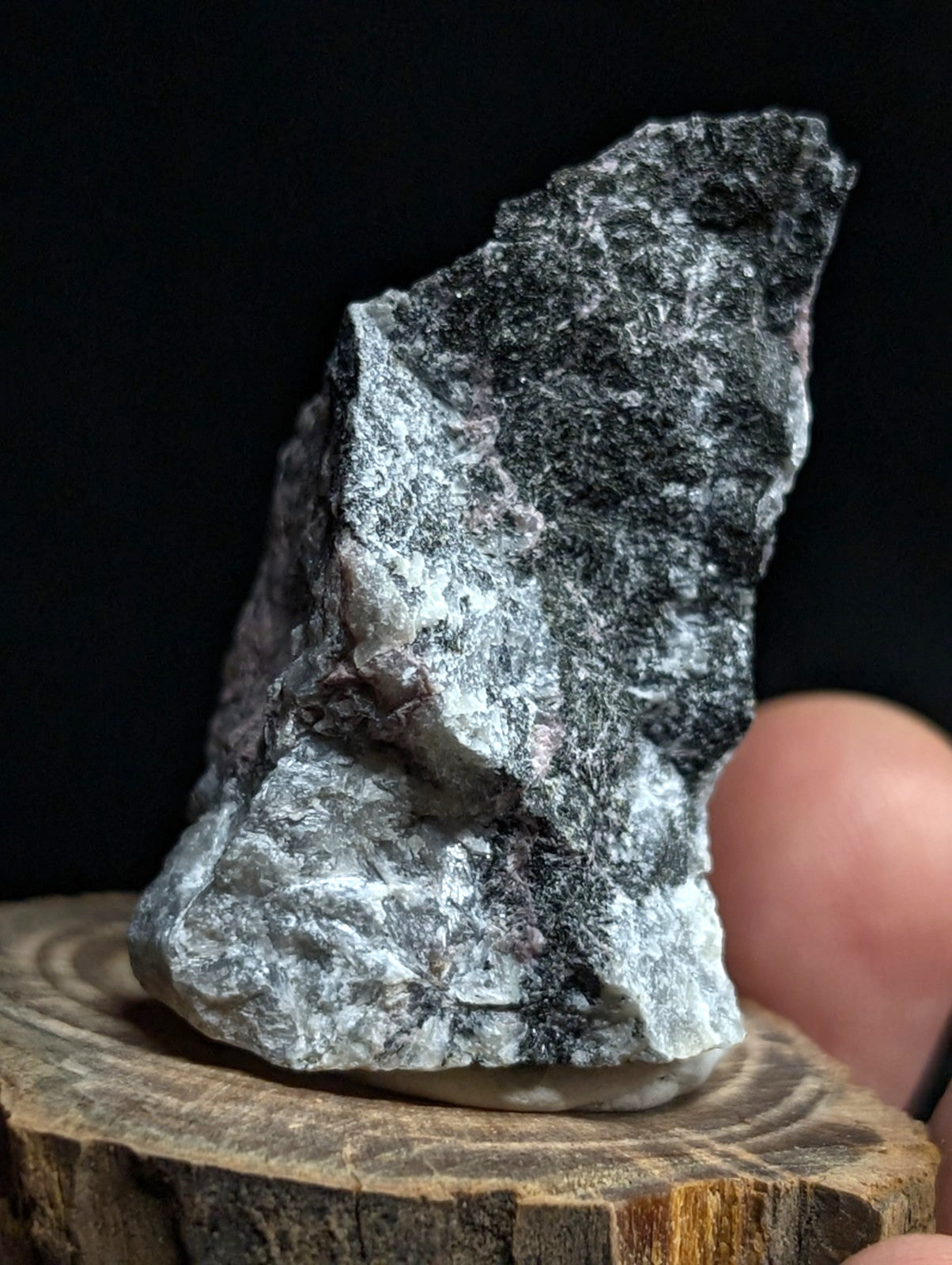 A rugged, irregularly shaped rock with a mottled gray and black surface featuring subtle white veining.