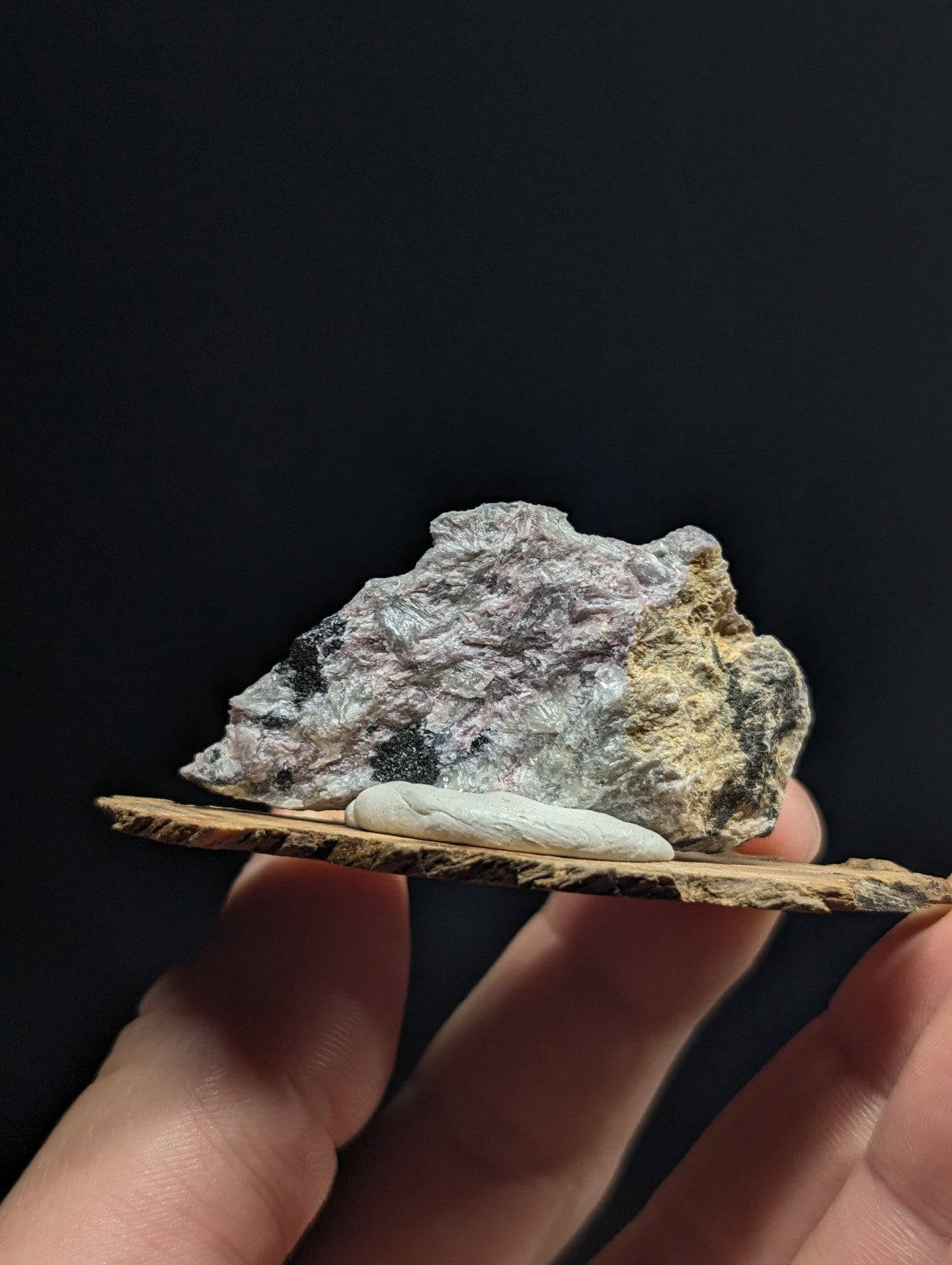 A textured, grayish-white rock with patches of yellow and black resting on a flat piece of wood.
