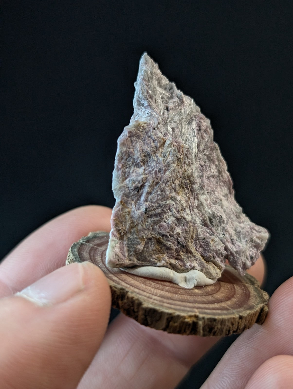 A rugged, irregularly shaped stone with a mottled gray and brown surface sits atop a circular wooden slice.