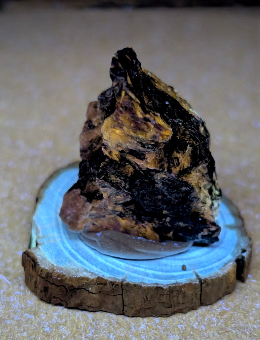 A rugged, naturally occurring mineral specimen with a striking blend of deep black and golden-yellow hues rests on a circular wooden slice base.