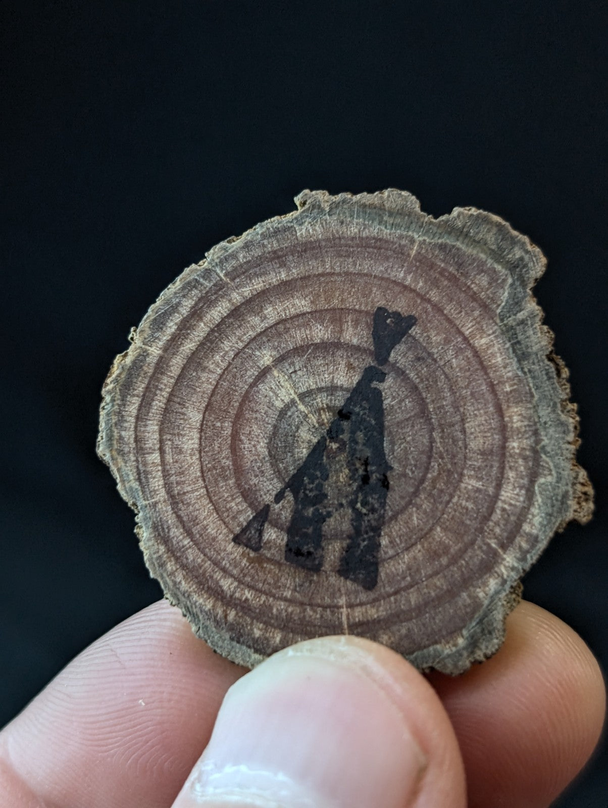 A circular wooden slice with visible growth rings, featuring a black silhouette of a figure holding an object.