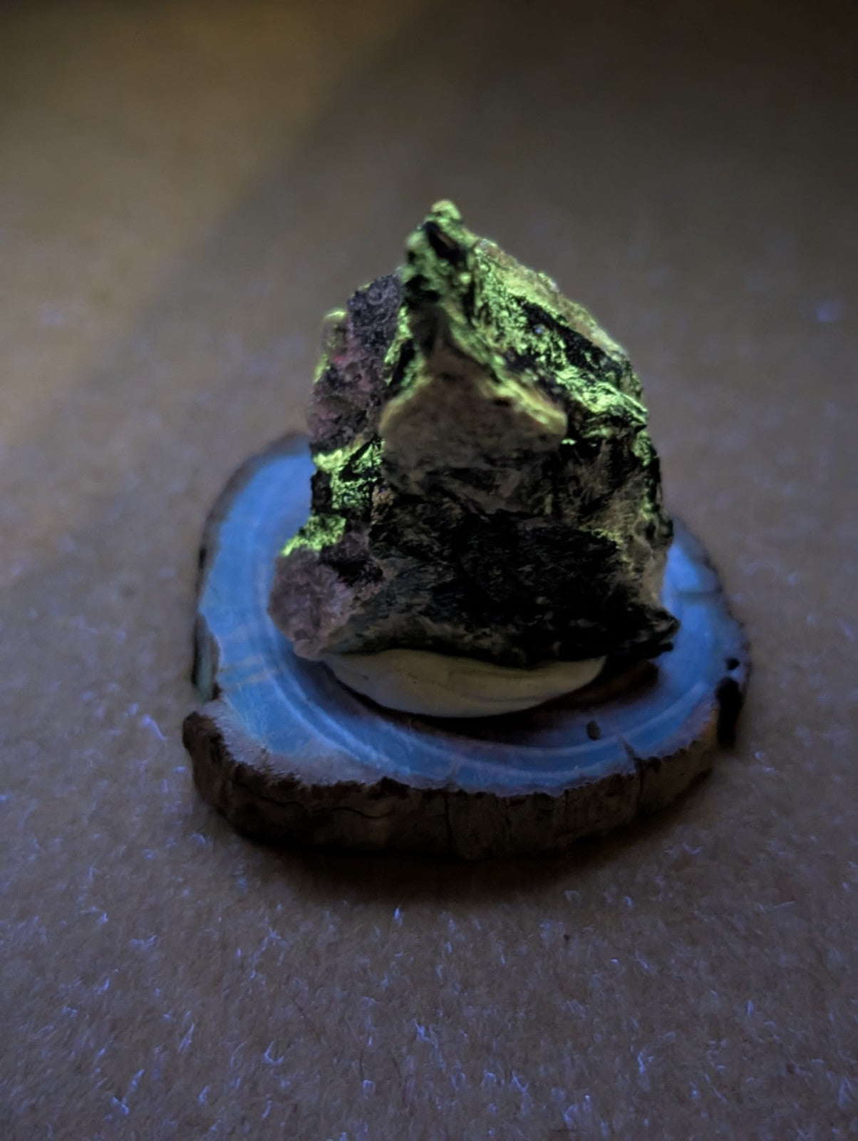A striking green and black mineral specimen with a metallic sheen, displayed on a circular blue agate slice.