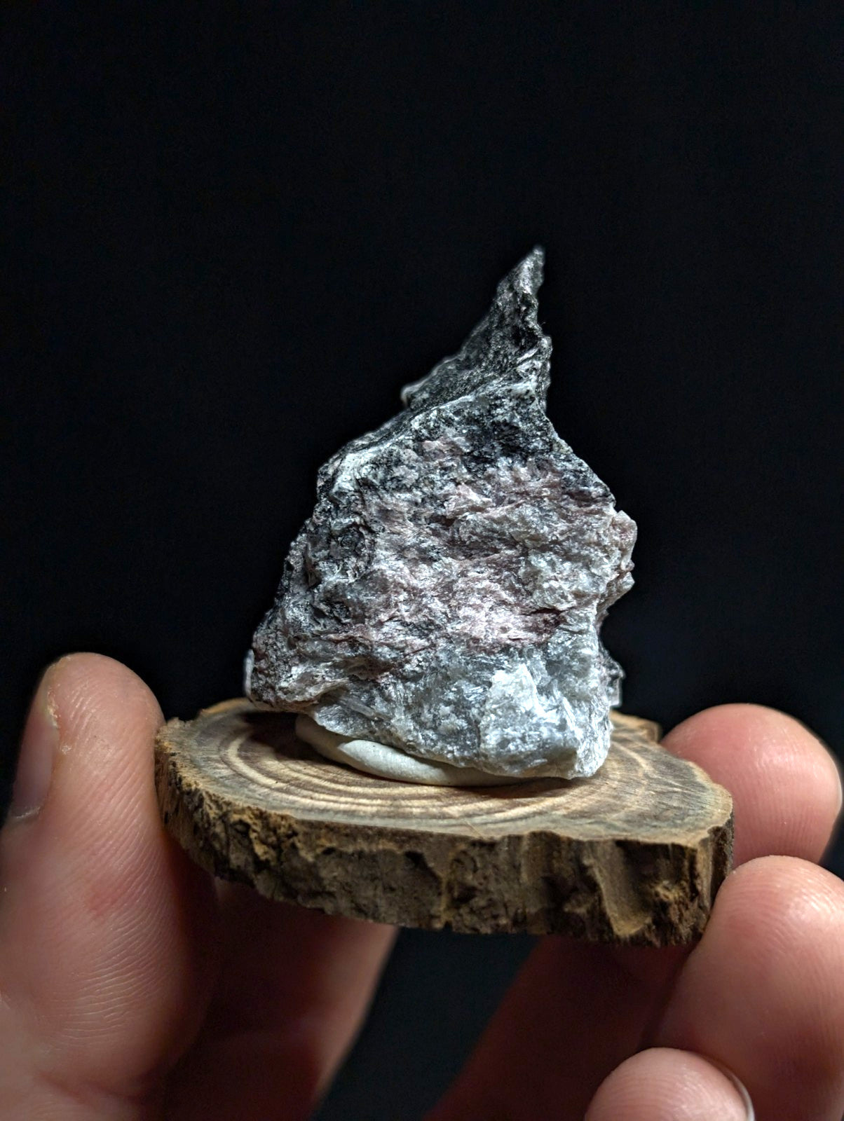 A rugged, irregularly shaped gray rock with a slightly glossy surface rests on a circular wooden slice.